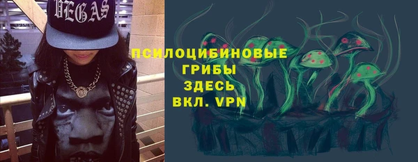 mix Богородск