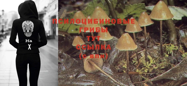 амф Богданович