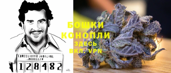 mix Богородск